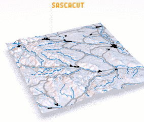 3d view of Sasca-Cut