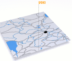 3d view of Voki