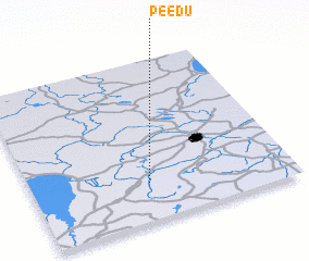 3d view of Peedu