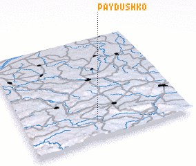 3d view of Paydushko