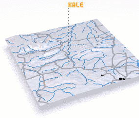 3d view of Kale