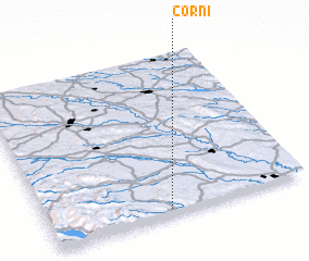 3d view of Corni