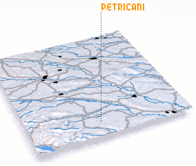 3d view of Petricani