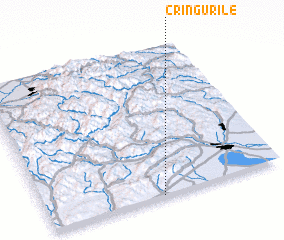 3d view of Crîngurile