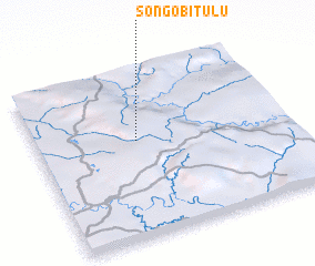3d view of Songo-Bitulu