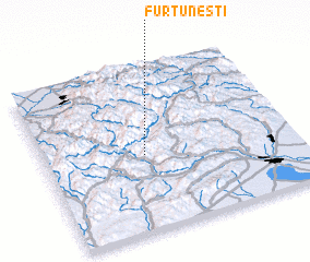 3d view of Furtuneşti