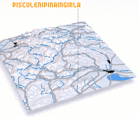 3d view of Pisculeni pînă în Gîrlă