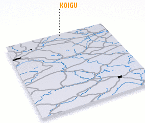 3d view of Koigu