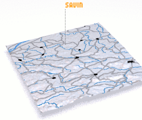 3d view of Savin