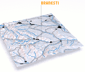 3d view of Brăneşti