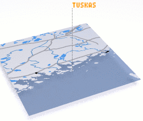 3d view of Tuskas