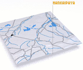 3d view of Mankaipaya