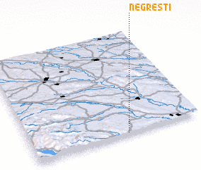 3d view of Negreşti