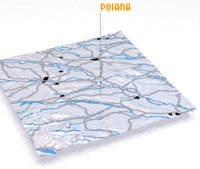 3d view of Poiana