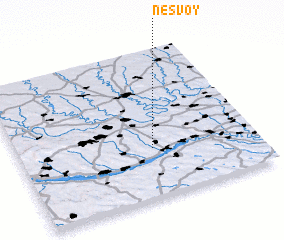 3d view of Nesvoy