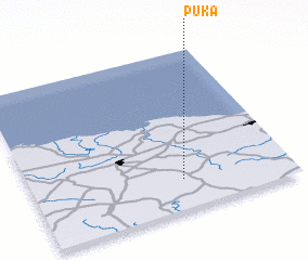 3d view of Puka