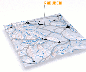 3d view of Pădureni