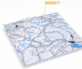 3d view of Brăeşti