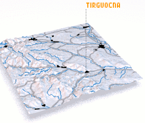 3d view of Tîrgu Ocna