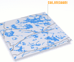 3d view of Salonsaari