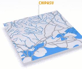 3d view of Chipasu