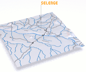 3d view of Selenge