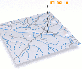3d view of Lutungula