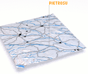 3d view of Pietrosu