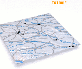 3d view of Ţătoaie