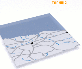 3d view of Toomika
