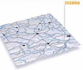 3d view of Sushina