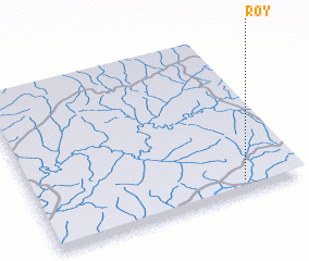 3d view of Roy