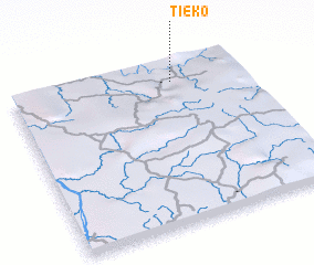 3d view of Tieko