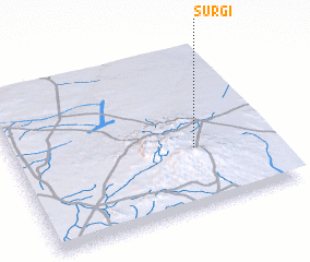 3d view of Surgi