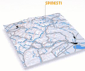 3d view of Spineşti