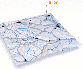 3d view of Liliac