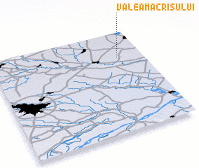 3d view of Valea Măcrişului