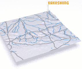 3d view of Kakoshong