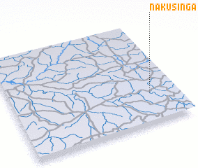 3d view of Nakusinga