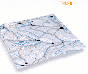 3d view of Talpa