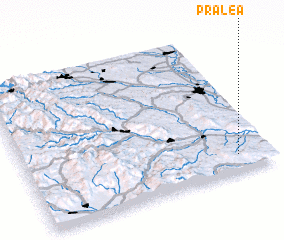 3d view of Pralea