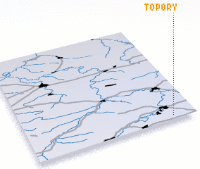 3d view of Topory