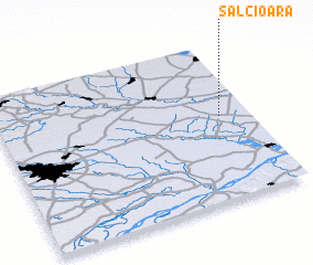 3d view of Sălcioara