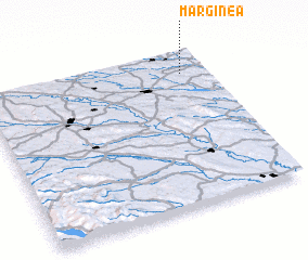 3d view of Marginea