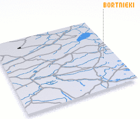 3d view of Bortnieki