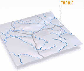 3d view of Tubile