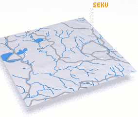 3d view of Seku