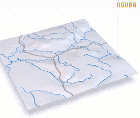 3d view of Nguba