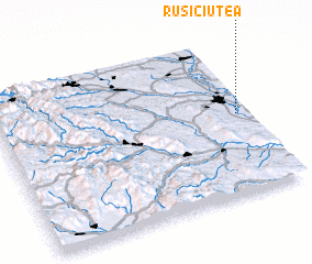 3d view of Ruşi-Ciutea