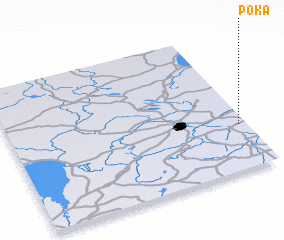 3d view of Poka